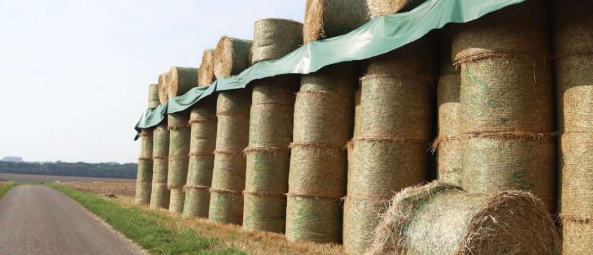 call-me-fred-j7SlIQUpgB8-unsplash